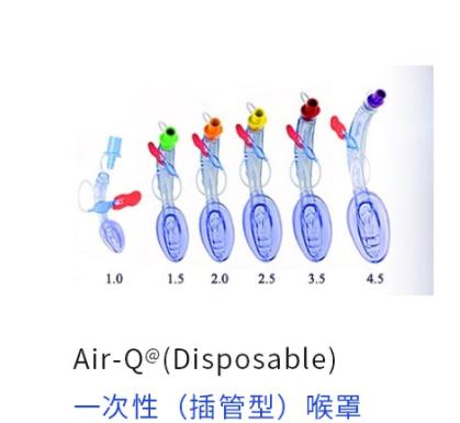 美国库克盖斯Cookgas喉罩3010