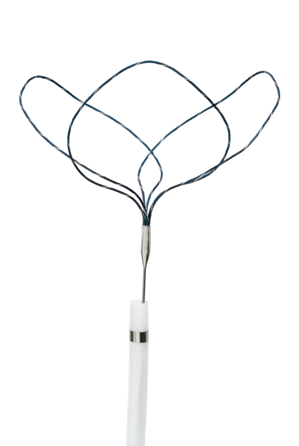 美國愛瑯Argon血管內(nèi)異物圈套器382006010