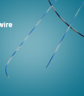 波士頓科學(xué)Boston Scientific泌尿?qū)ЫzZebra Urological Guidewire