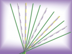 德國安德福萊克斯ENDO-FLEX導(dǎo)絲21625450