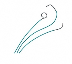 美國(guó)波士頓科學(xué)Boston Scientific造影導(dǎo)管M00535700