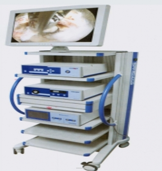 美國艾利肯Elliquence高頻手術(shù)設(shè)備Surgi-Max Plus 4.0 Dual RF/120 IEC